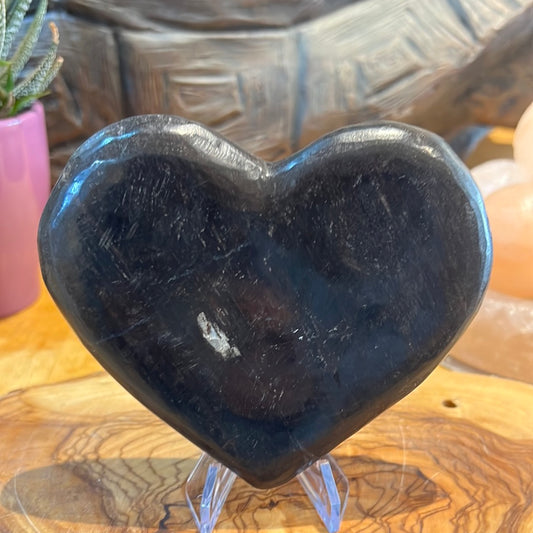 Petrified Wood Display Piece