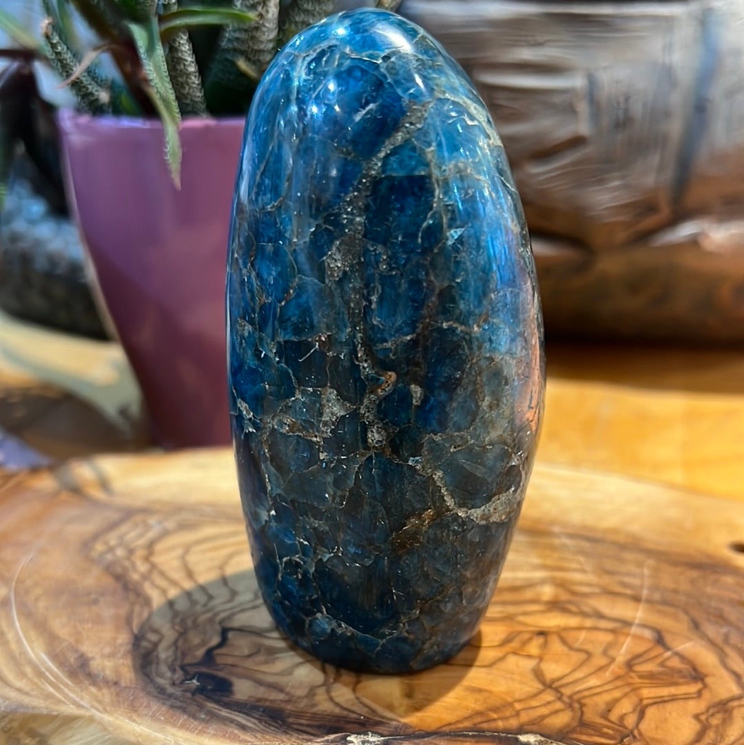 Blue Apatite Freeform