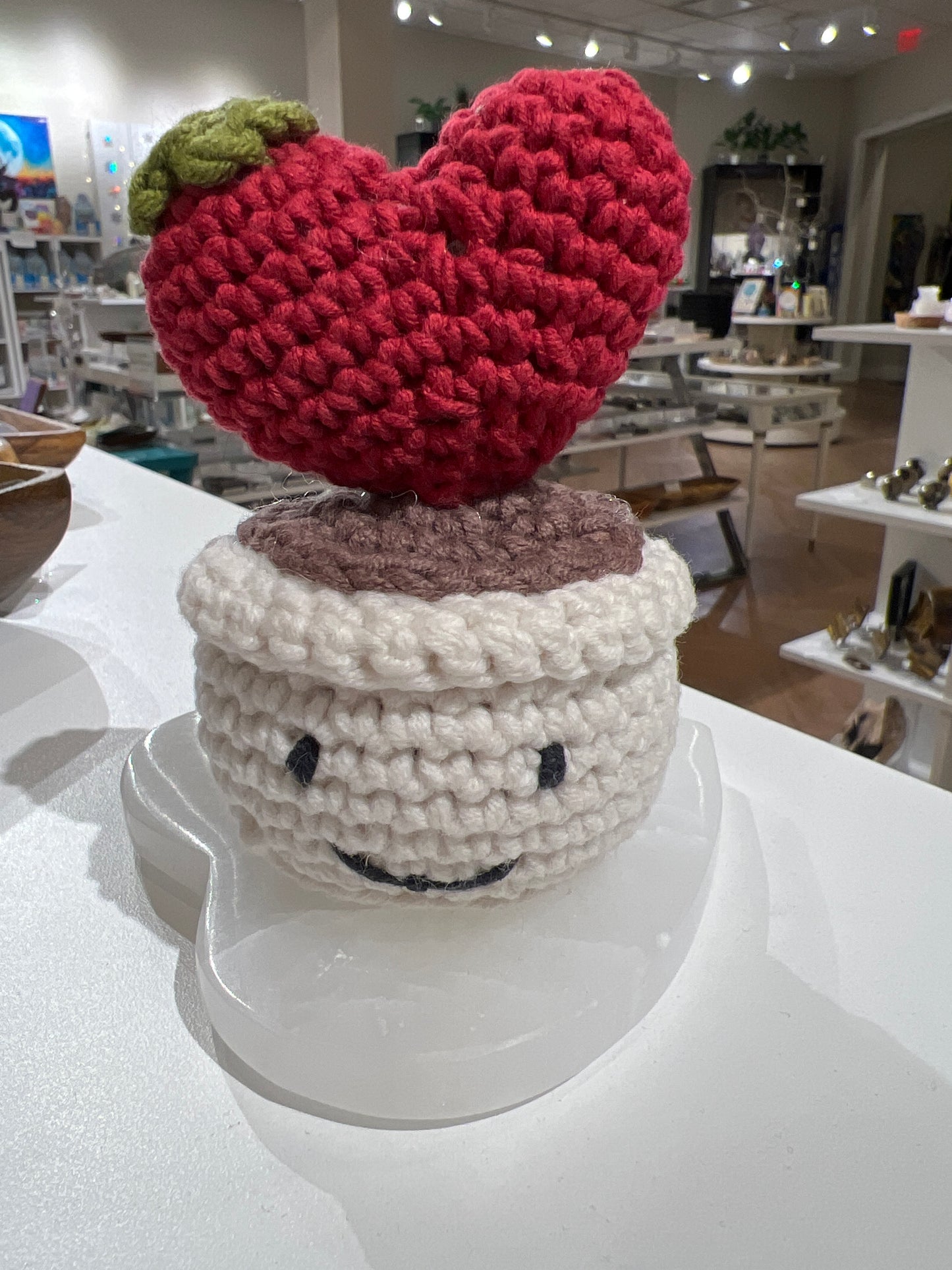 Handmade Crochet Heart Cactus