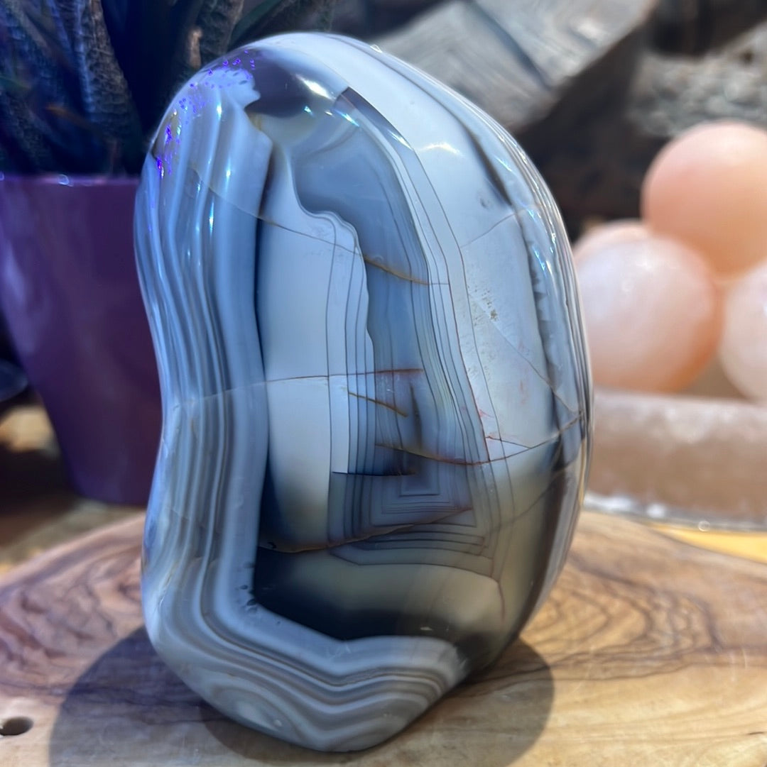 Orca Agate Freeform