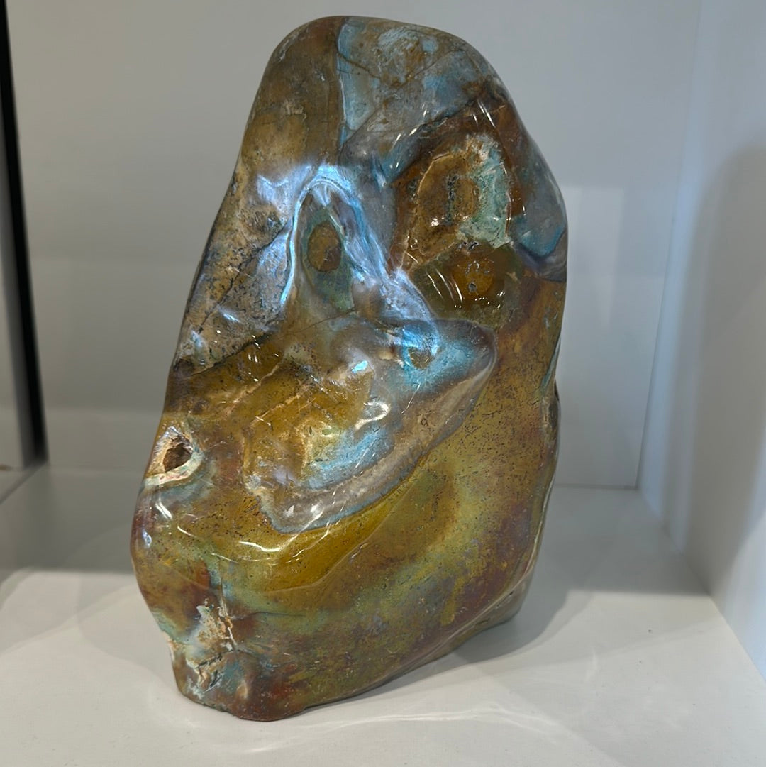 Rare Blue Opalized Petrified Wood With Chrysocolla From Indonesia