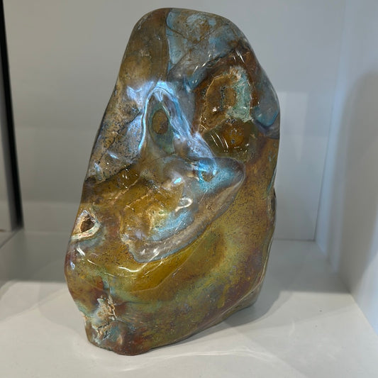 Rare Blue Opalized Petrified Wood With Chrysocolla From Indonesia