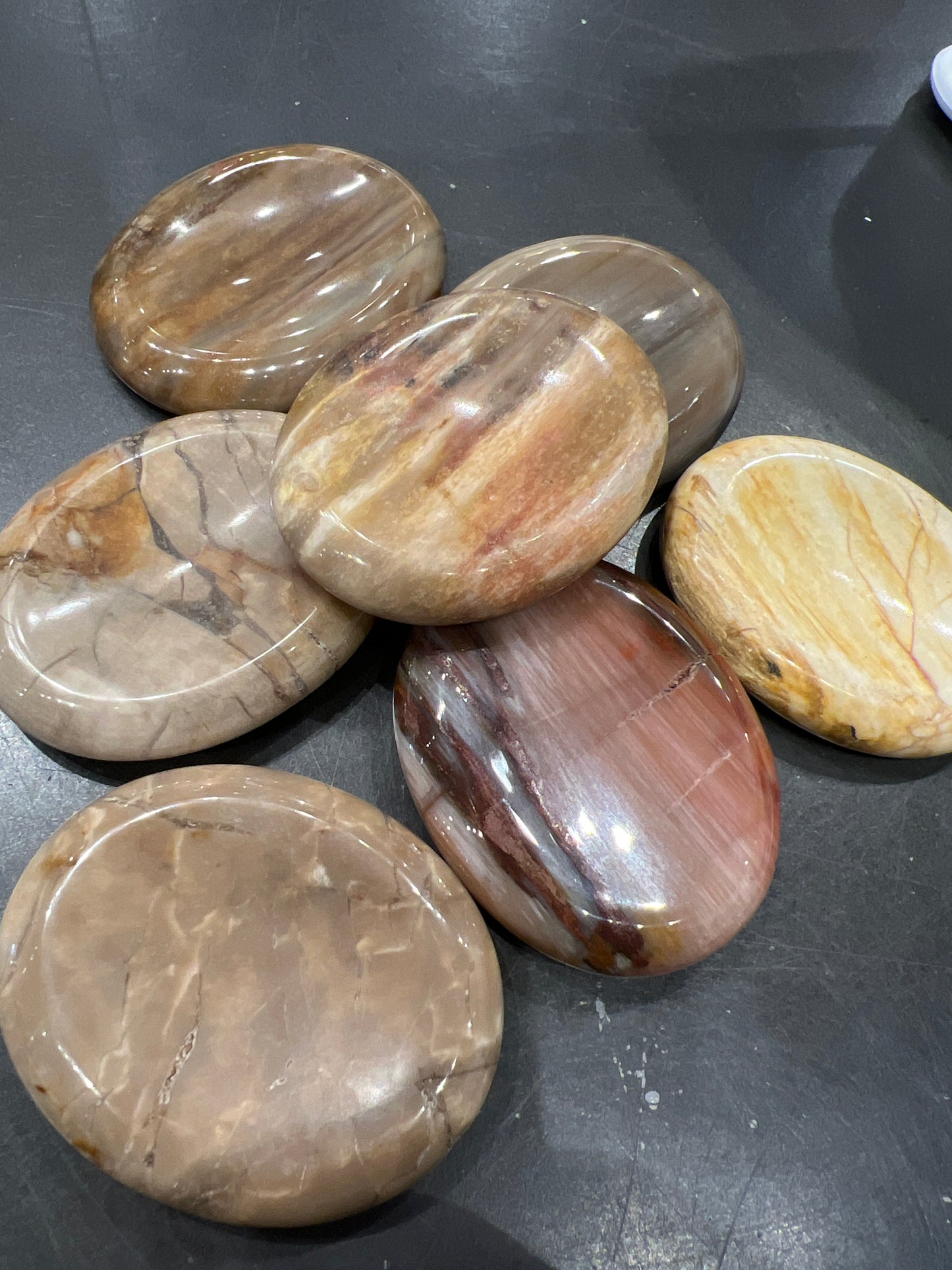 Petrified Wood Worry Stone