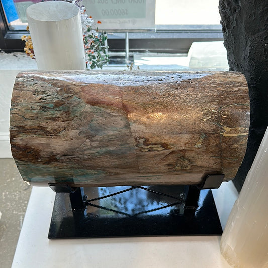 Rare Blue Opalized Petrified Wood with Chrysocolla and Malachite