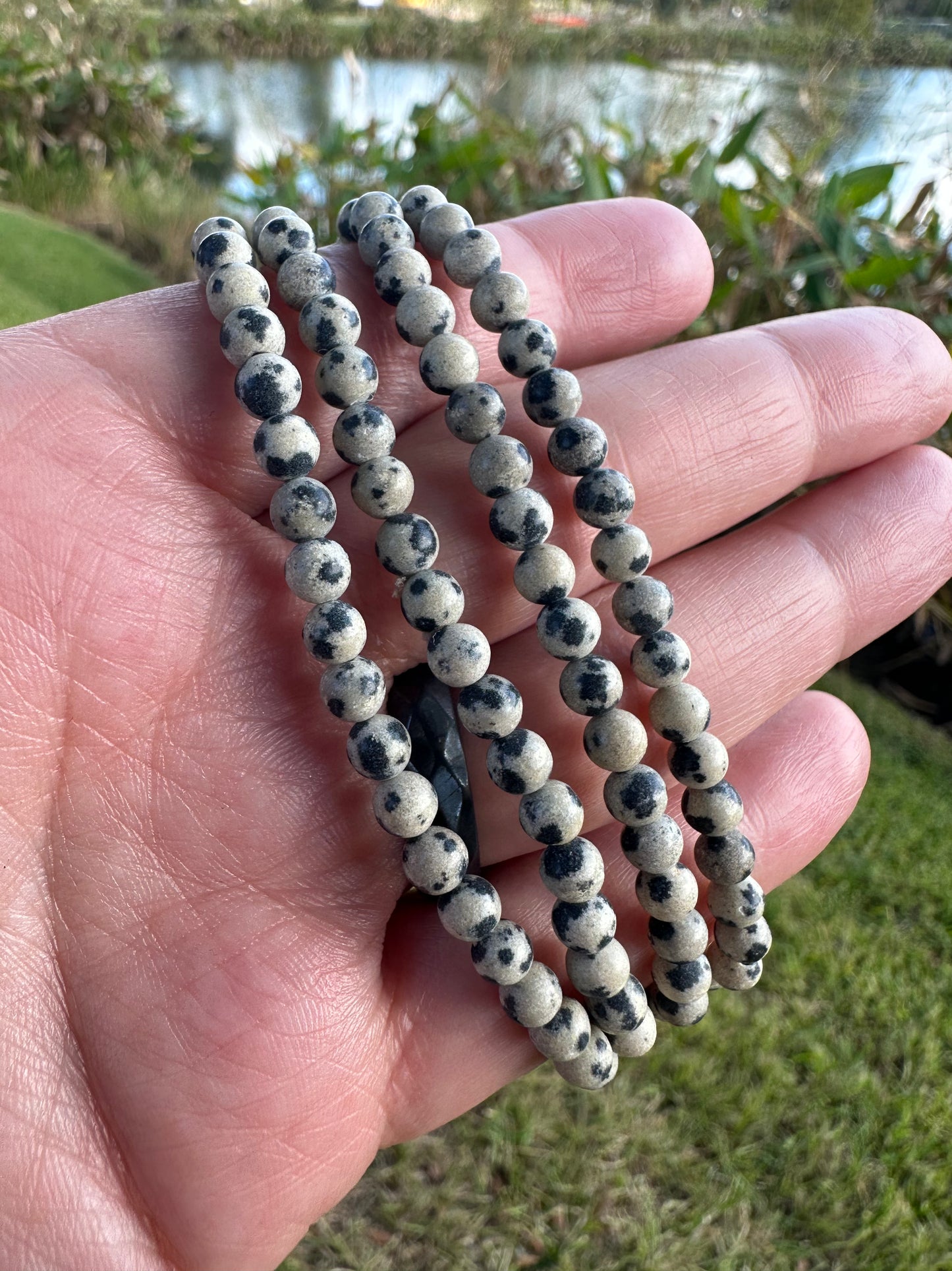 Dalmatian Jasper Bracelet