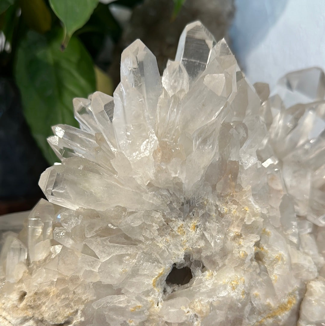 Rare Brazilian Lemurian Cluster