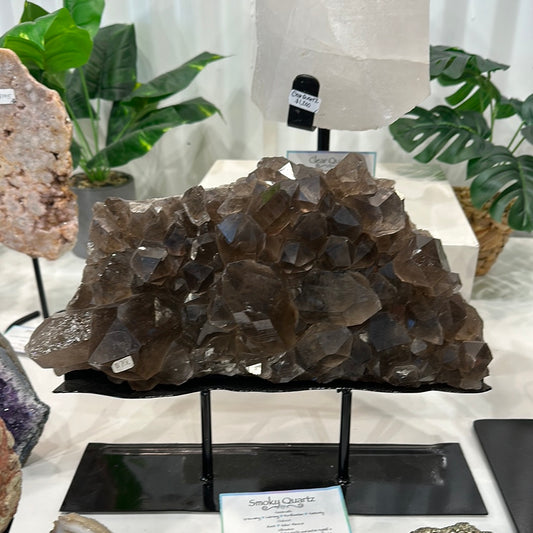 Smoky Quartz Cluster on Custom Stand