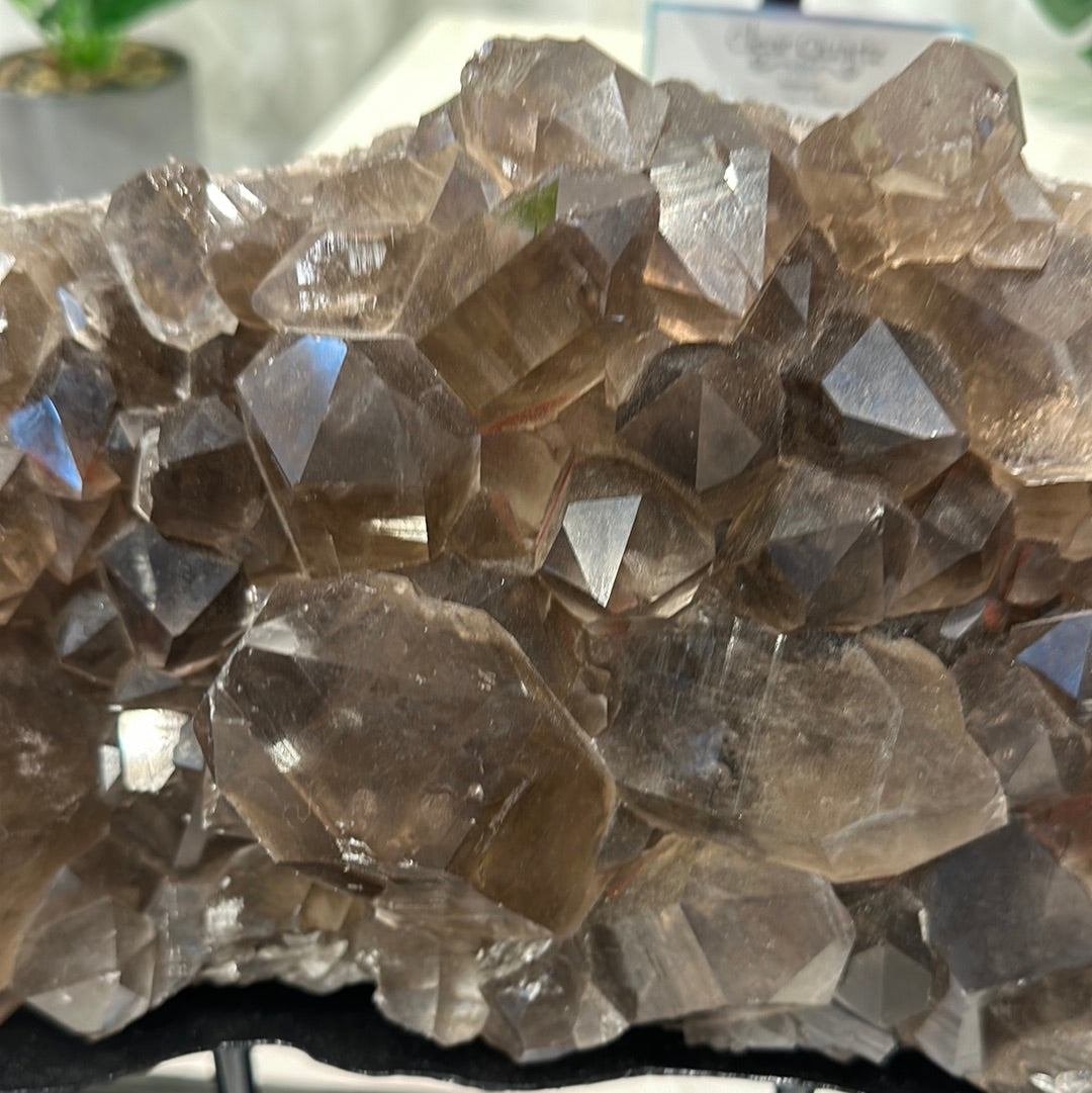 Smoky Quartz Cluster on Custom Stand