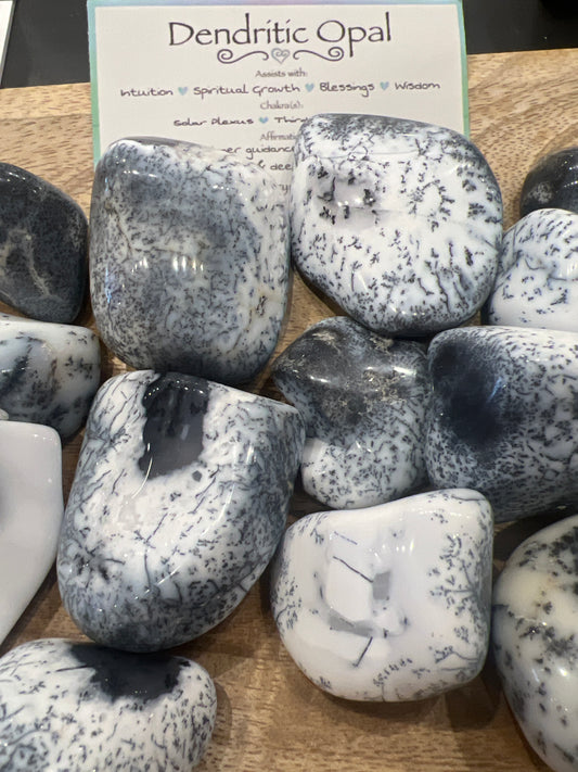 Dendritic Opal Palm Stone