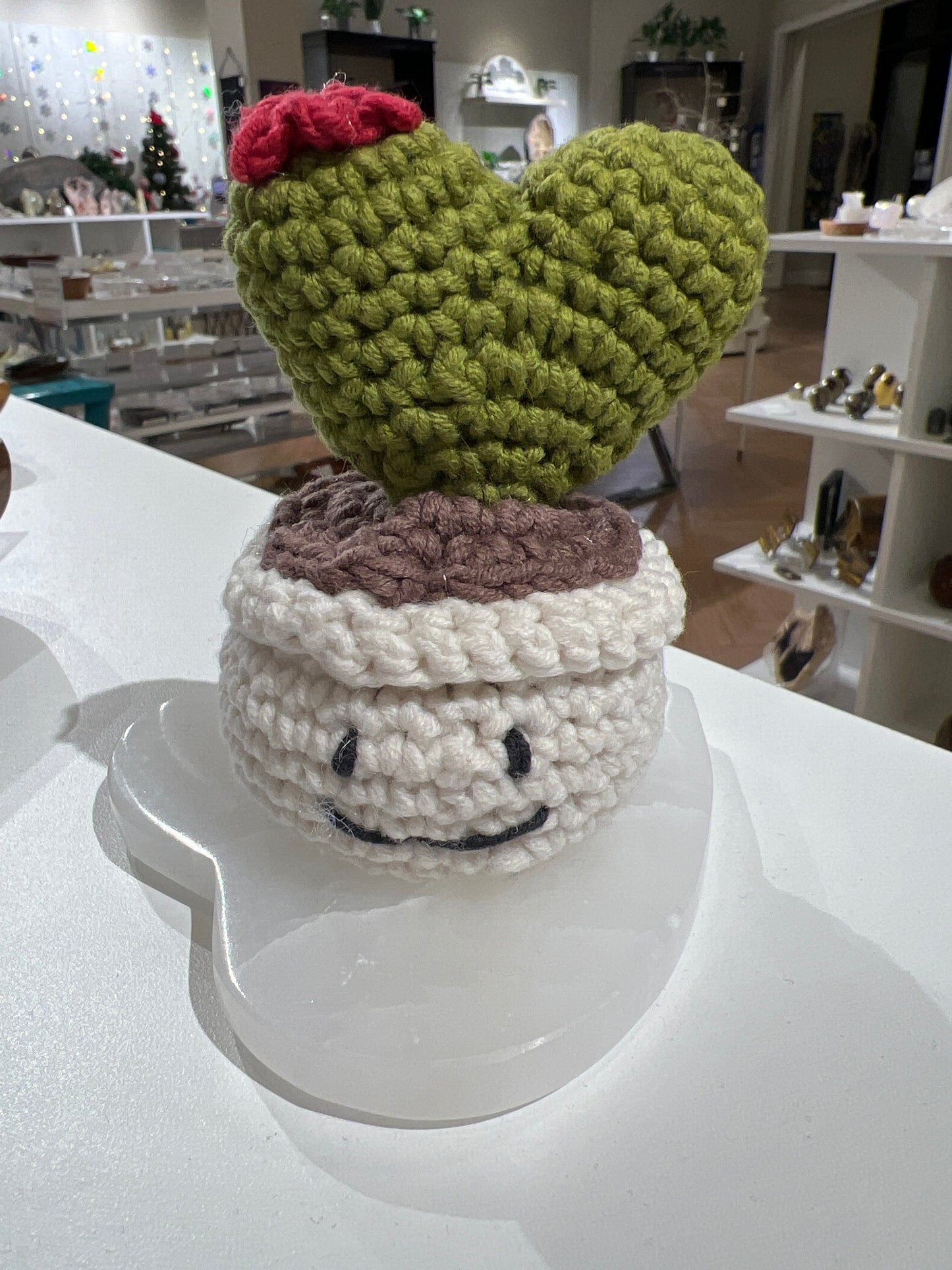 Handmade Crochet Heart Cactus