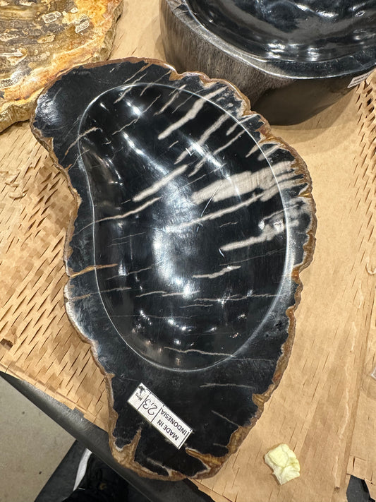 Petrified Wood Bowl