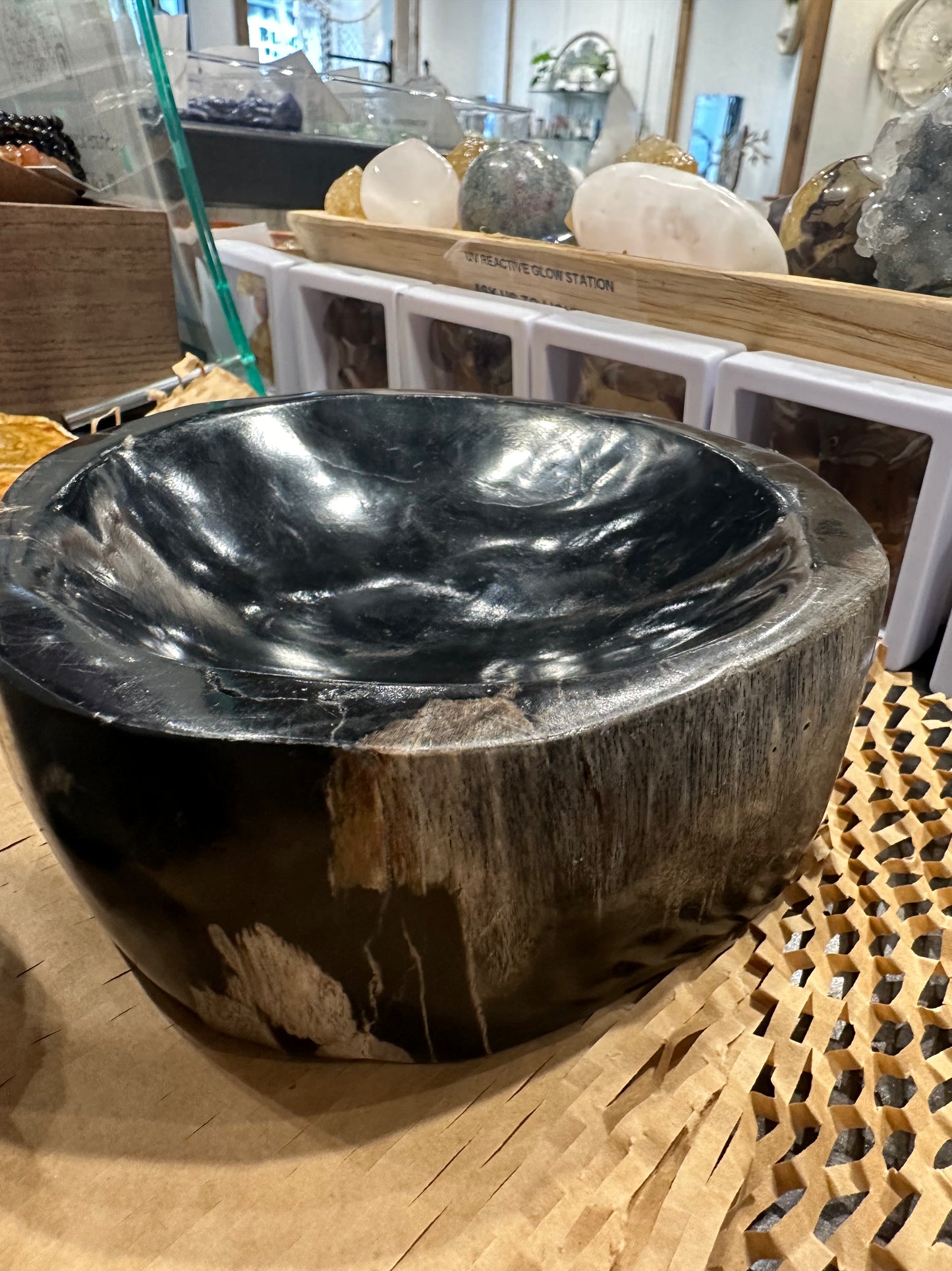 Petrified Wood Bowl