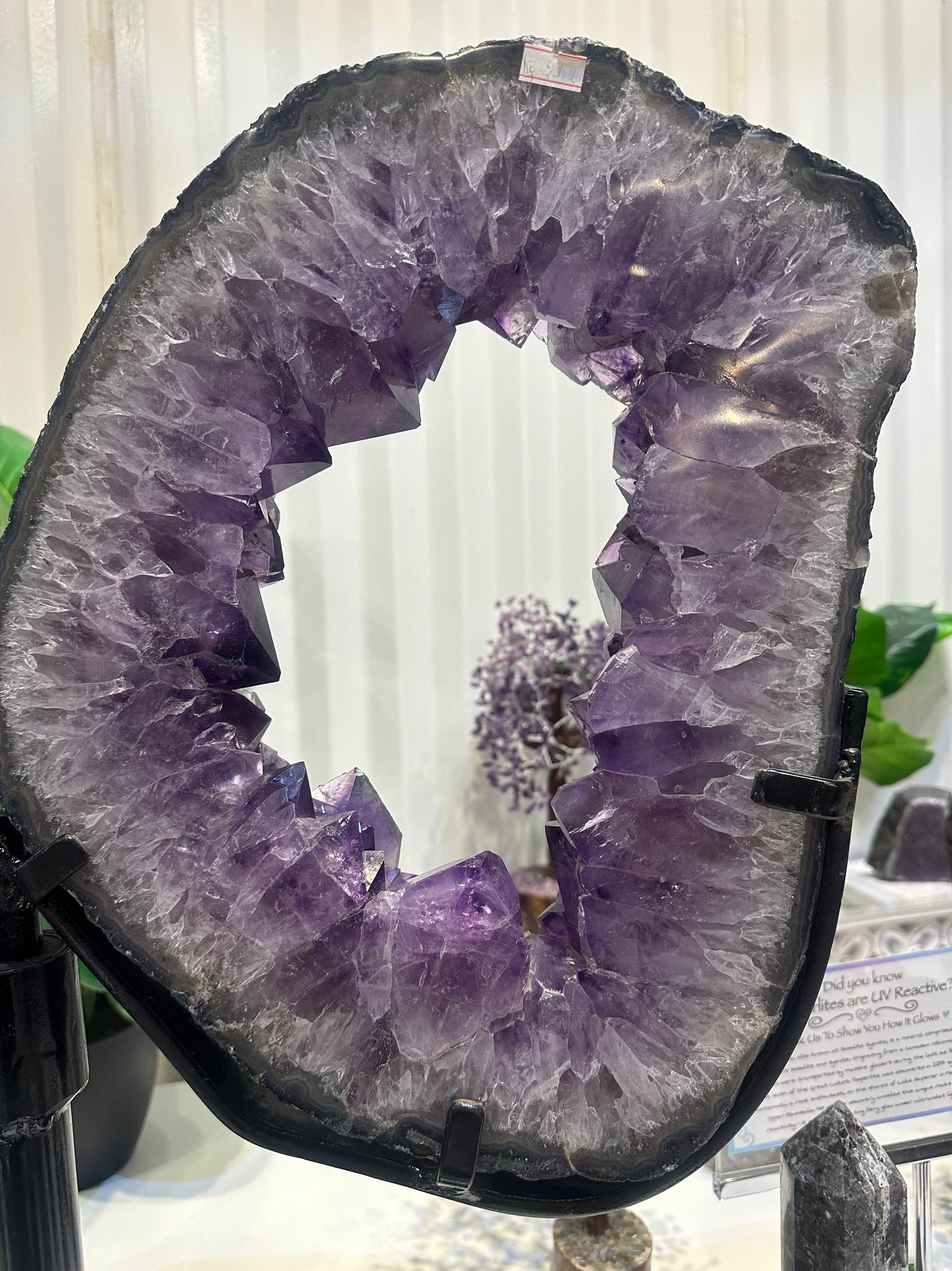 Natural Brazilian Amethyst Pair of Slices With Spinning Custom Stand