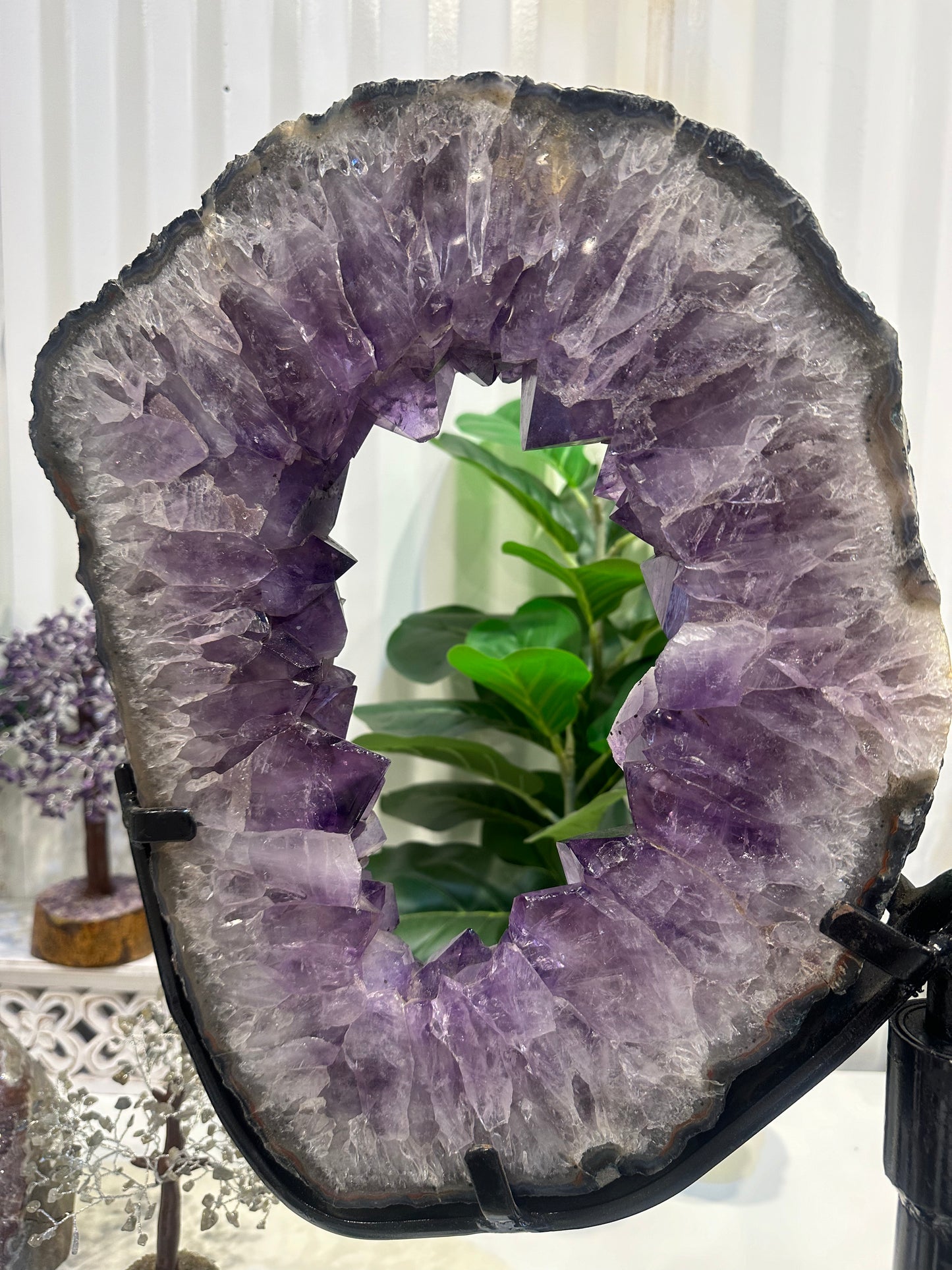 Natural Brazilian Amethyst Pair of Slices With Spinning Custom Stand