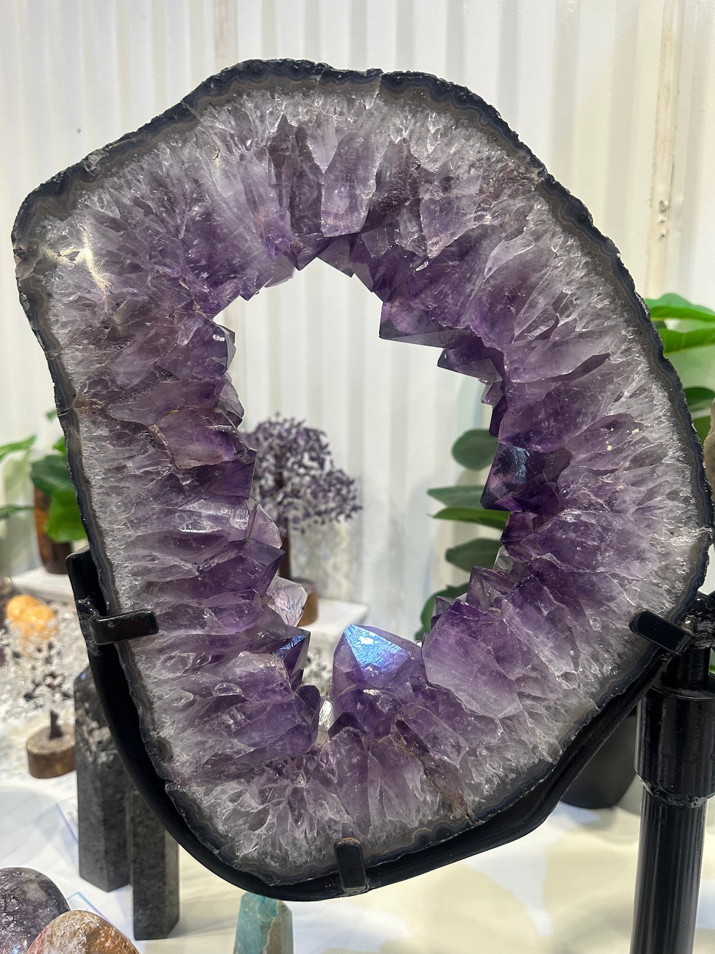 Natural Brazilian Amethyst Pair of Slices With Spinning Custom Stand