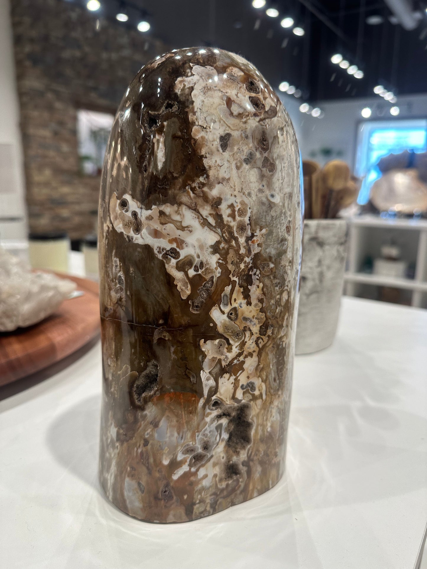 Rare Ocean Jasper and Petrified Wood Statement Piece