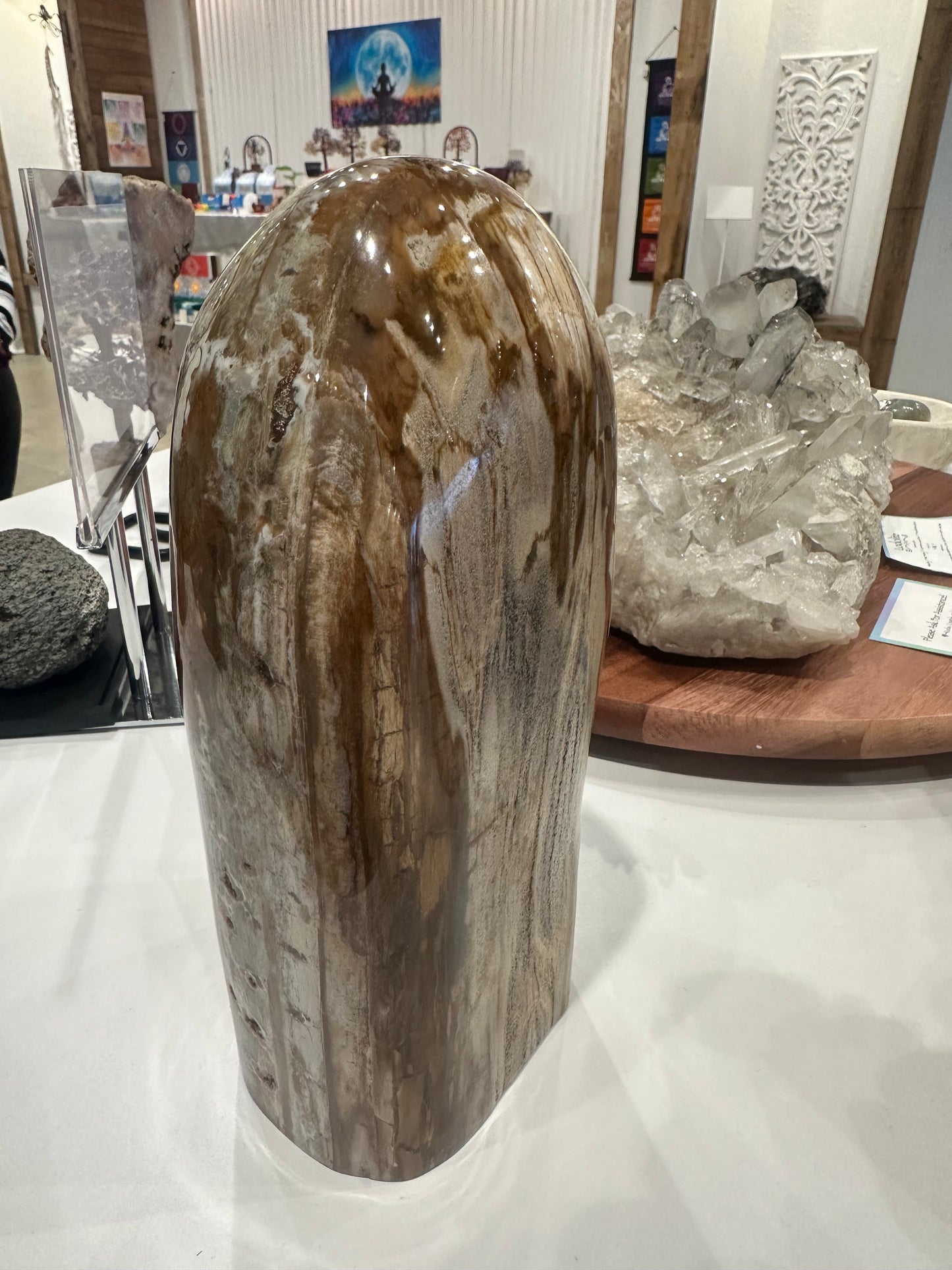 Rare Ocean Jasper and Petrified Wood Statement Piece