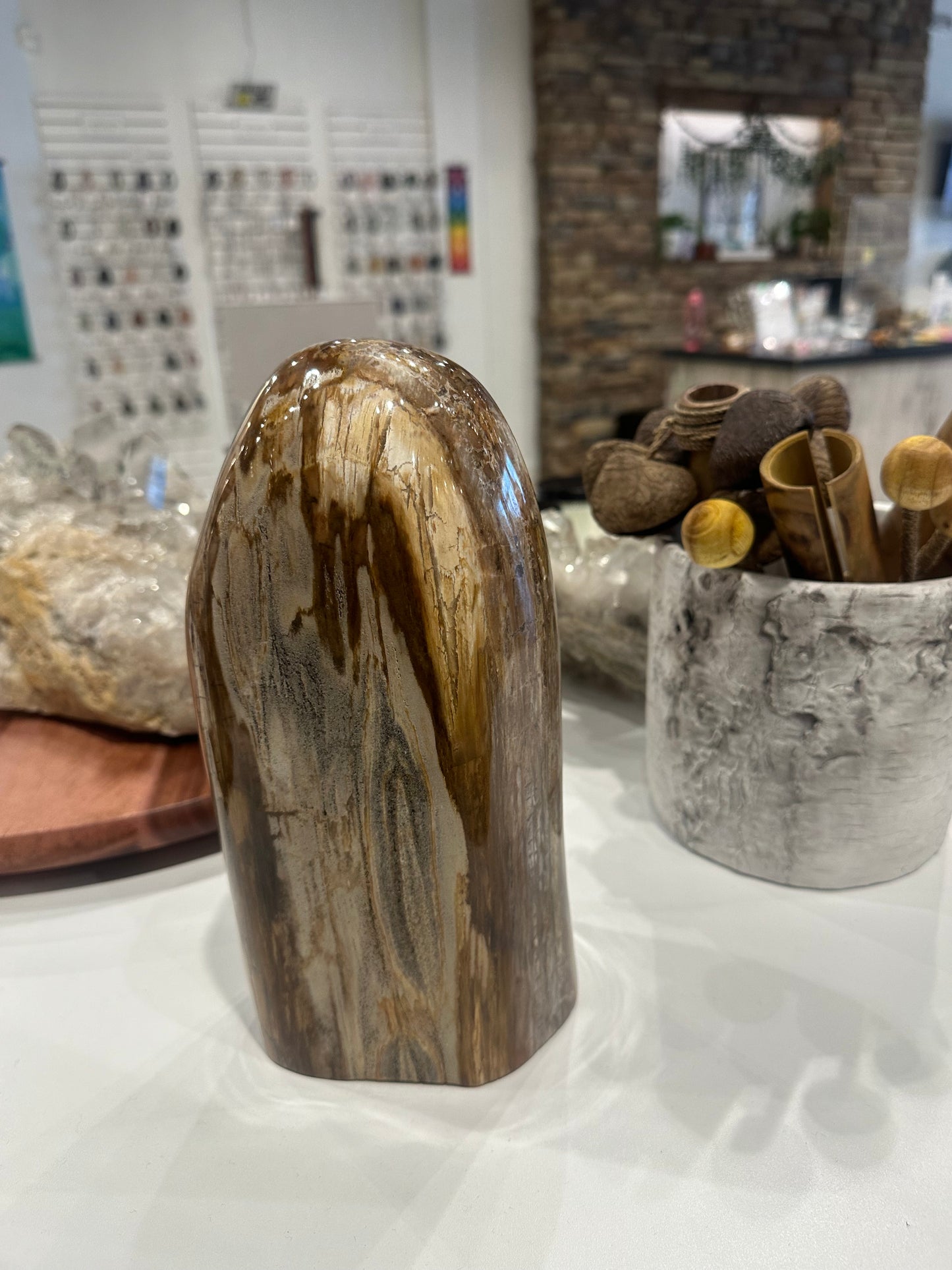Rare Ocean Jasper and Petrified Wood Statement Piece