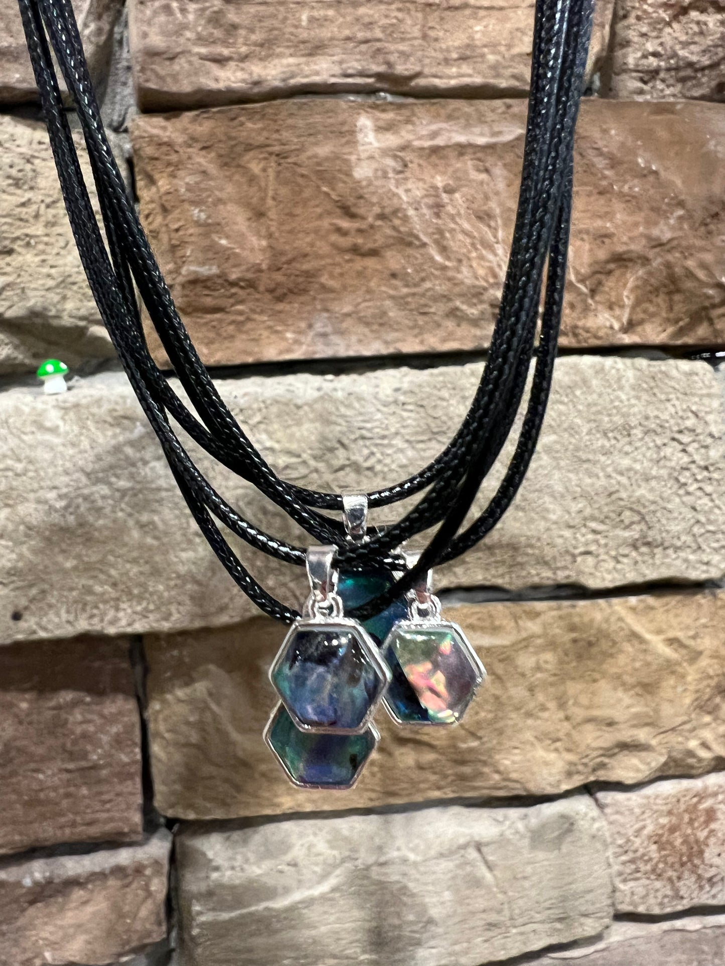 Abalone Shell Necklace