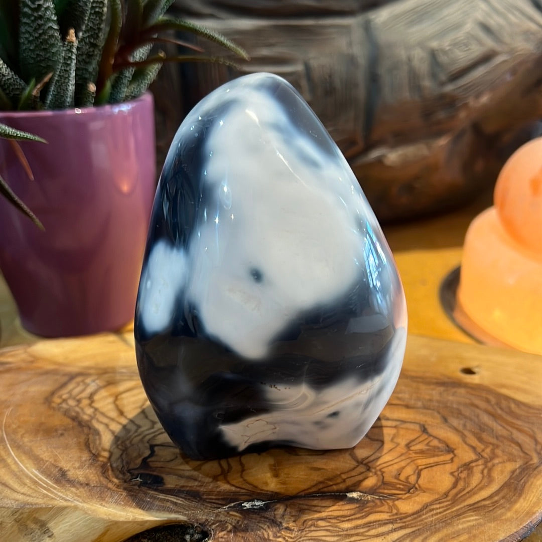 Orca Agate Freeform