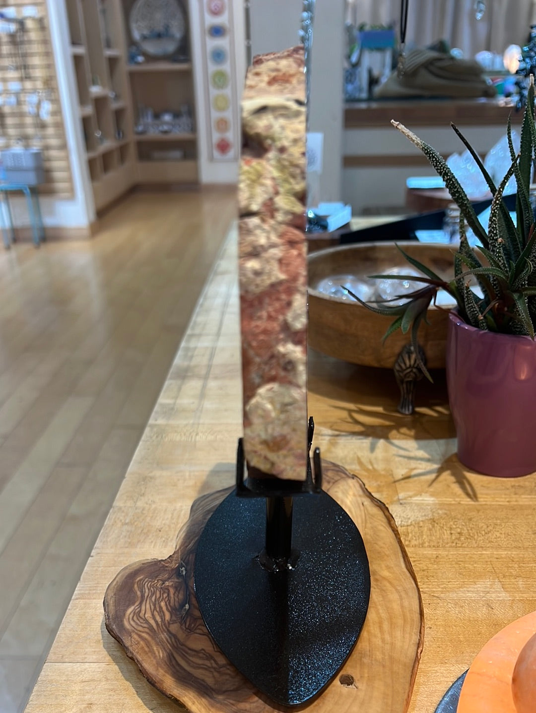 Petrified Collawood Slice