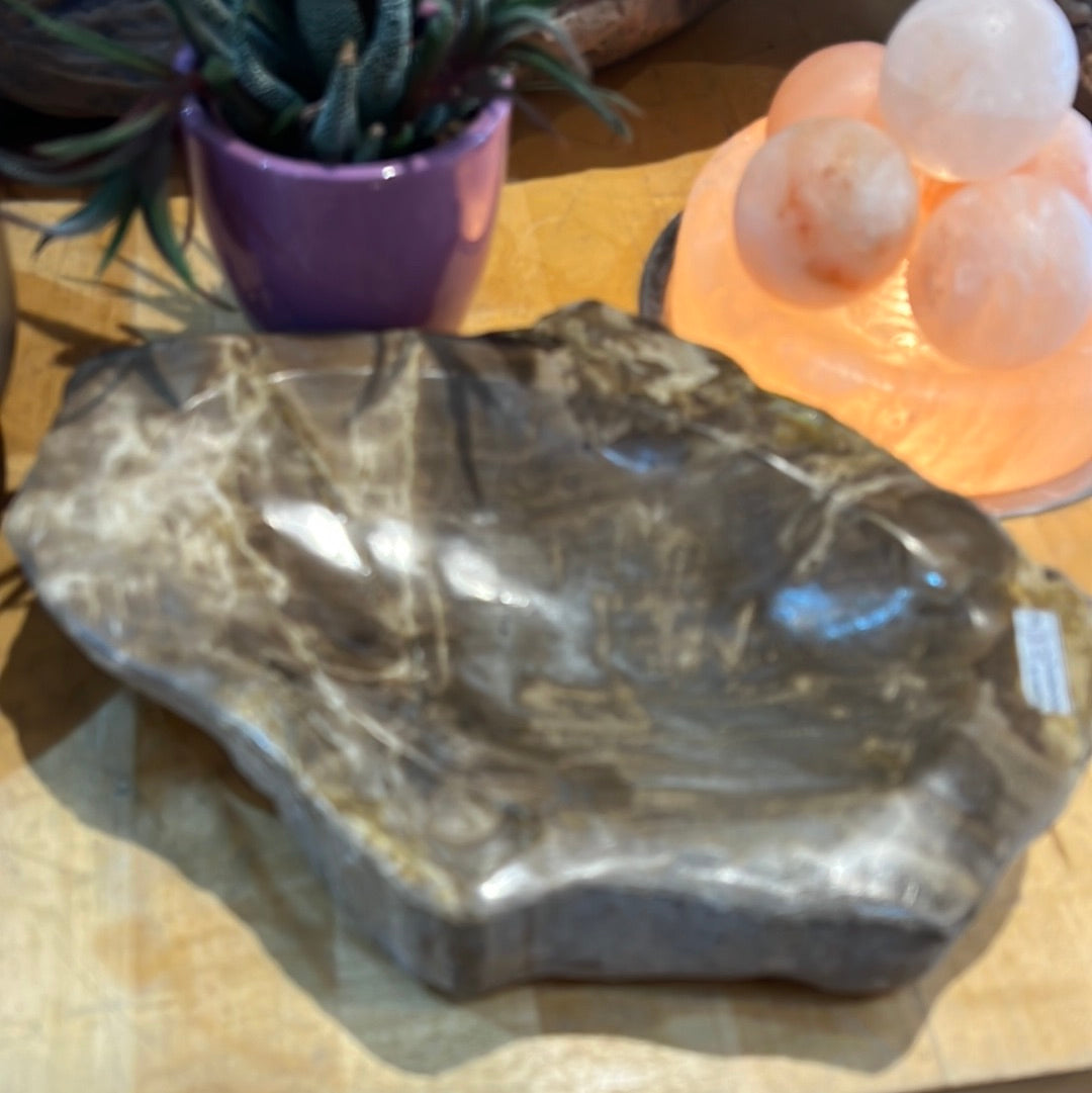 Petrified Wood Bowl