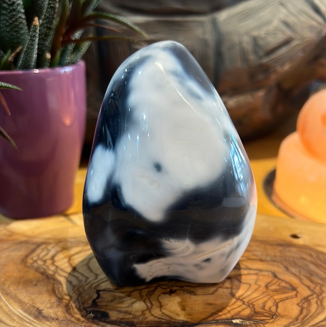 Orca Agate Freeform