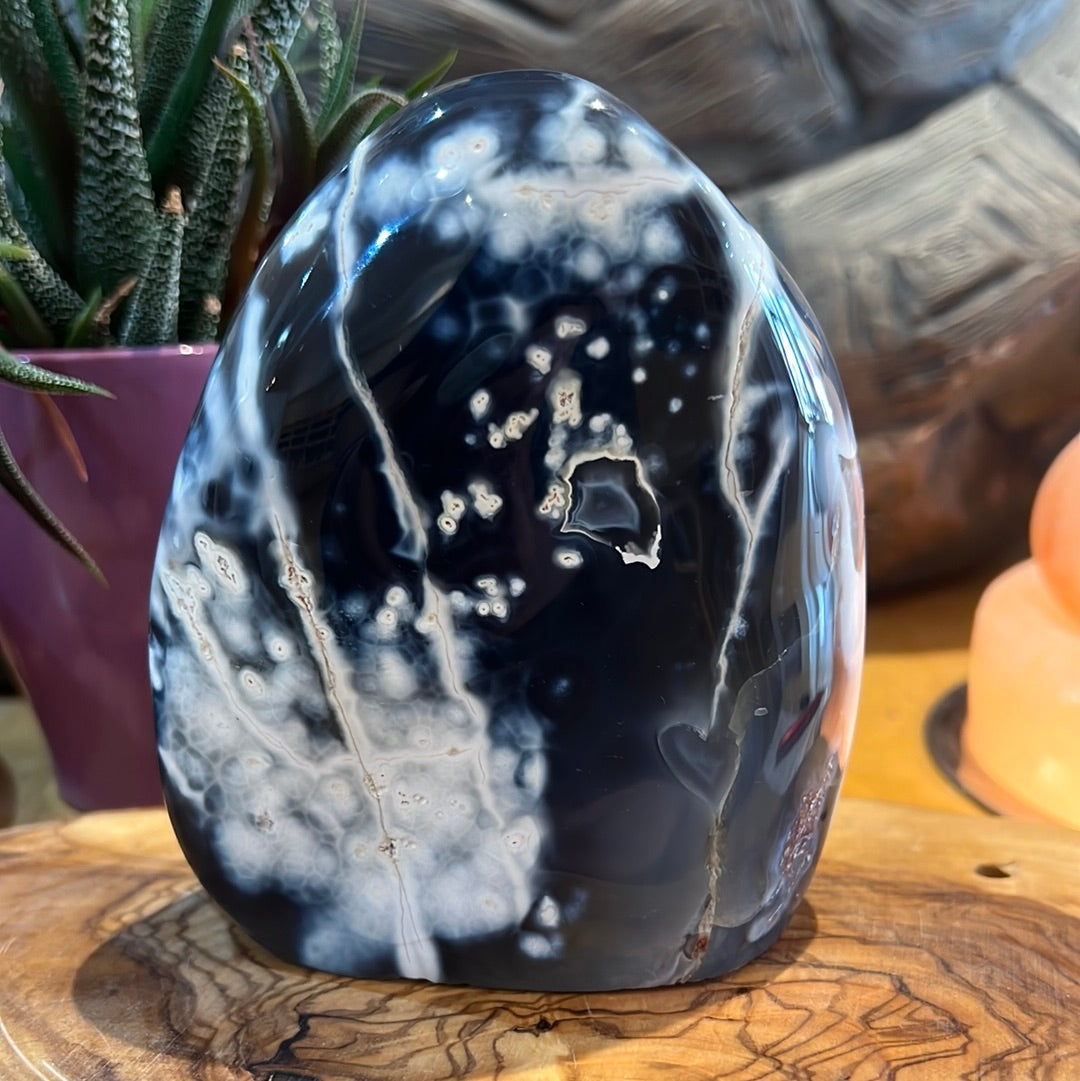 Orca Agate Freeform