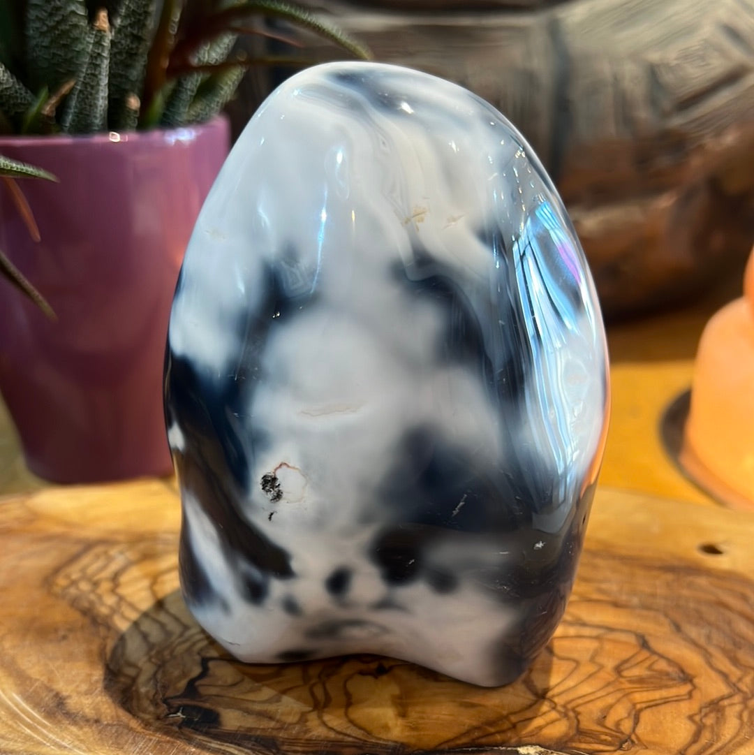 Orca Agate Freeform