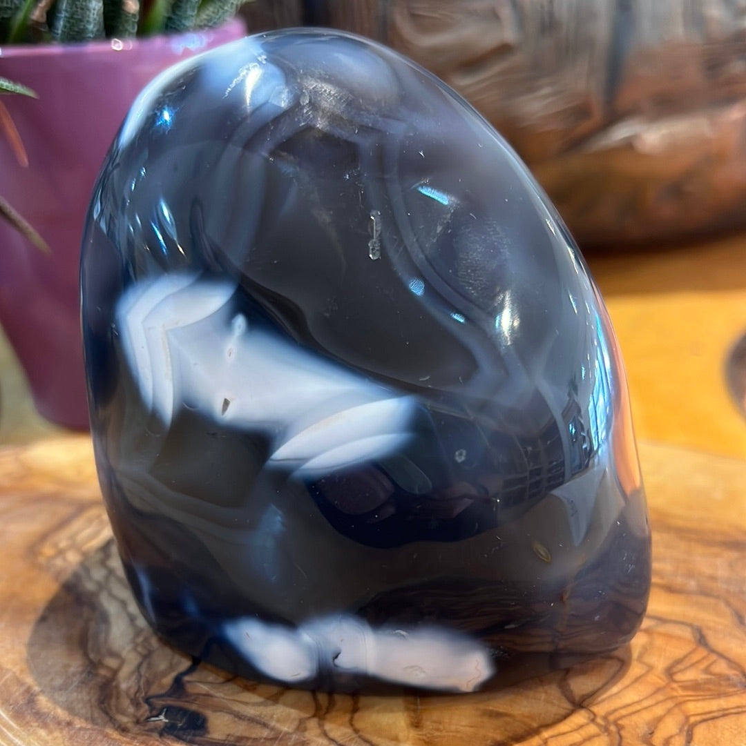 Orca Agate Freeform