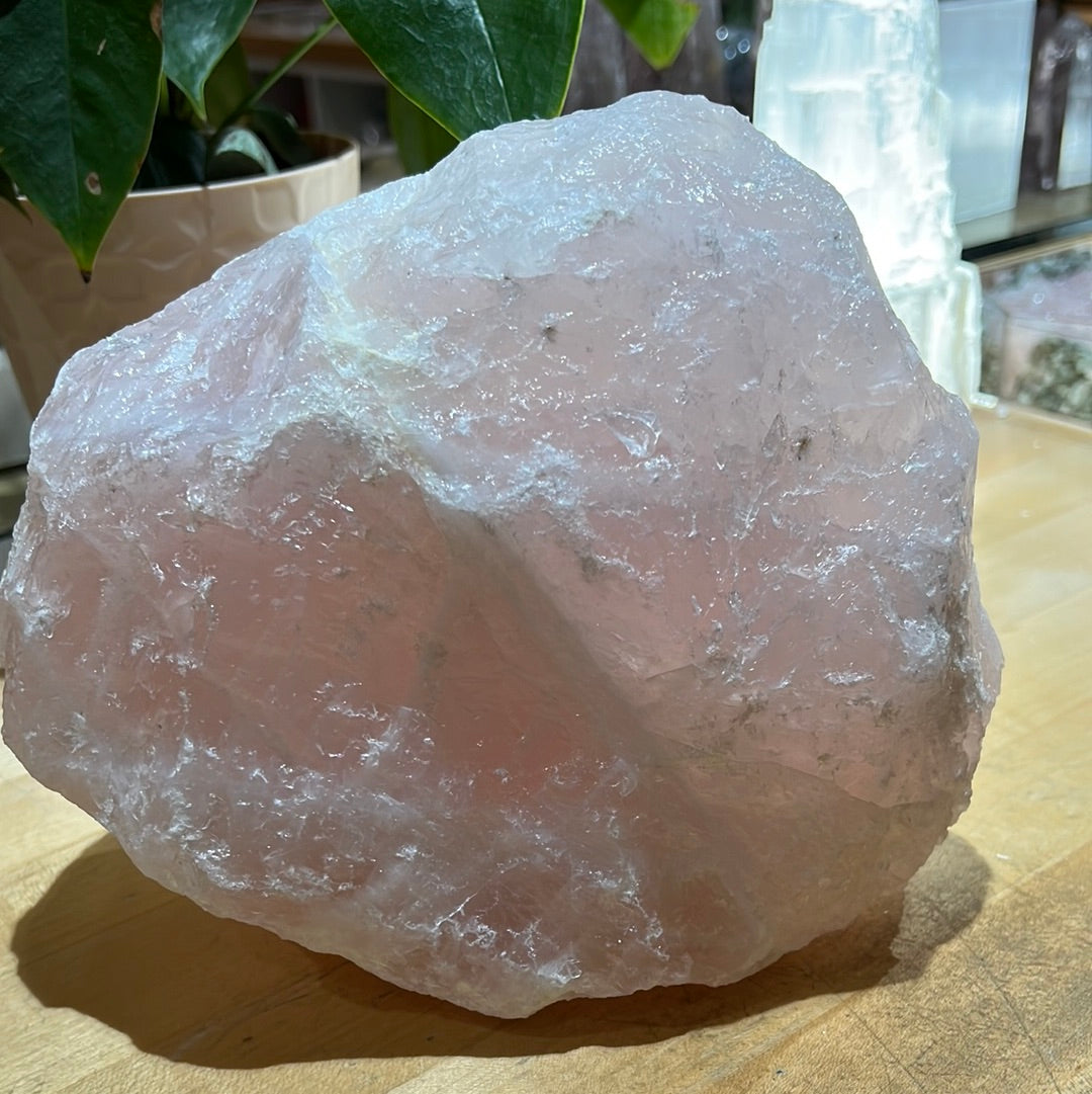 Rose Quartz Rough Display Piece