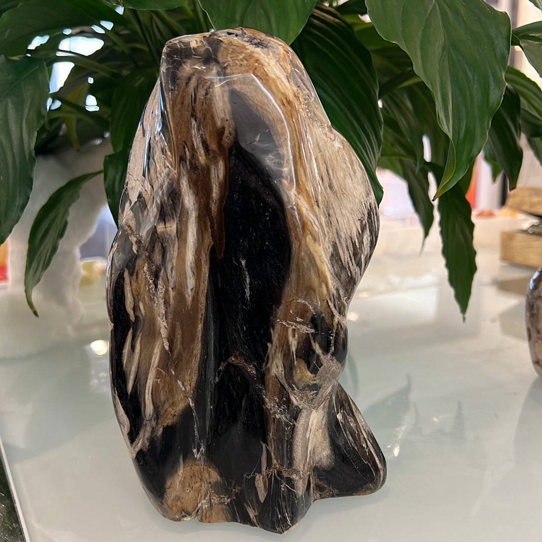 Petrified Wood Freeform