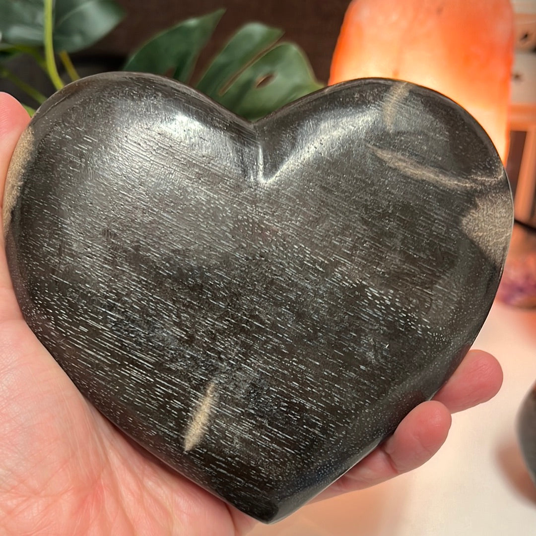 Petrified Wood Heart
