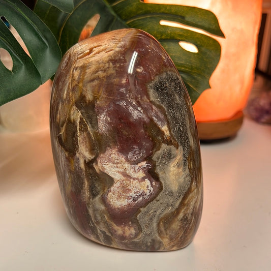Petrified Wood Freeform