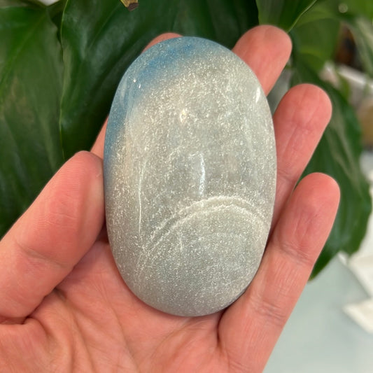 Trolleite Soap