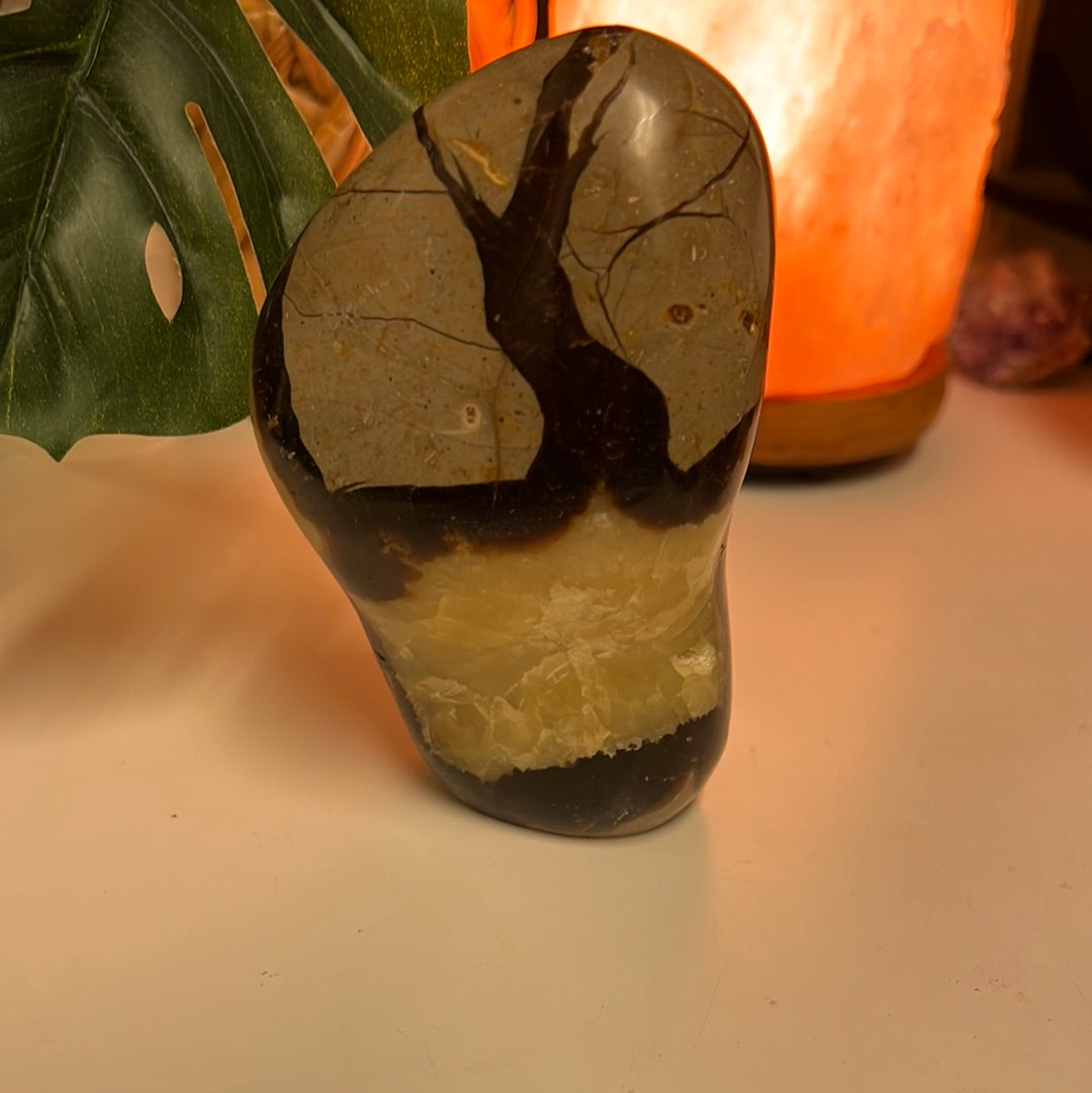Septarian Freeform