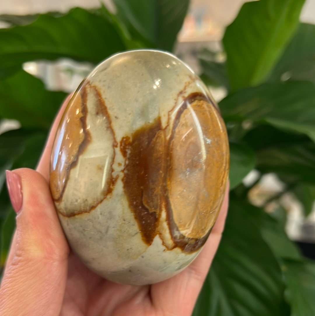 Polychrome Jasper Palmstone