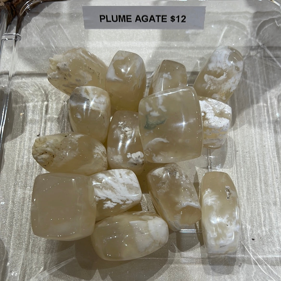 Plume Agate Tumble