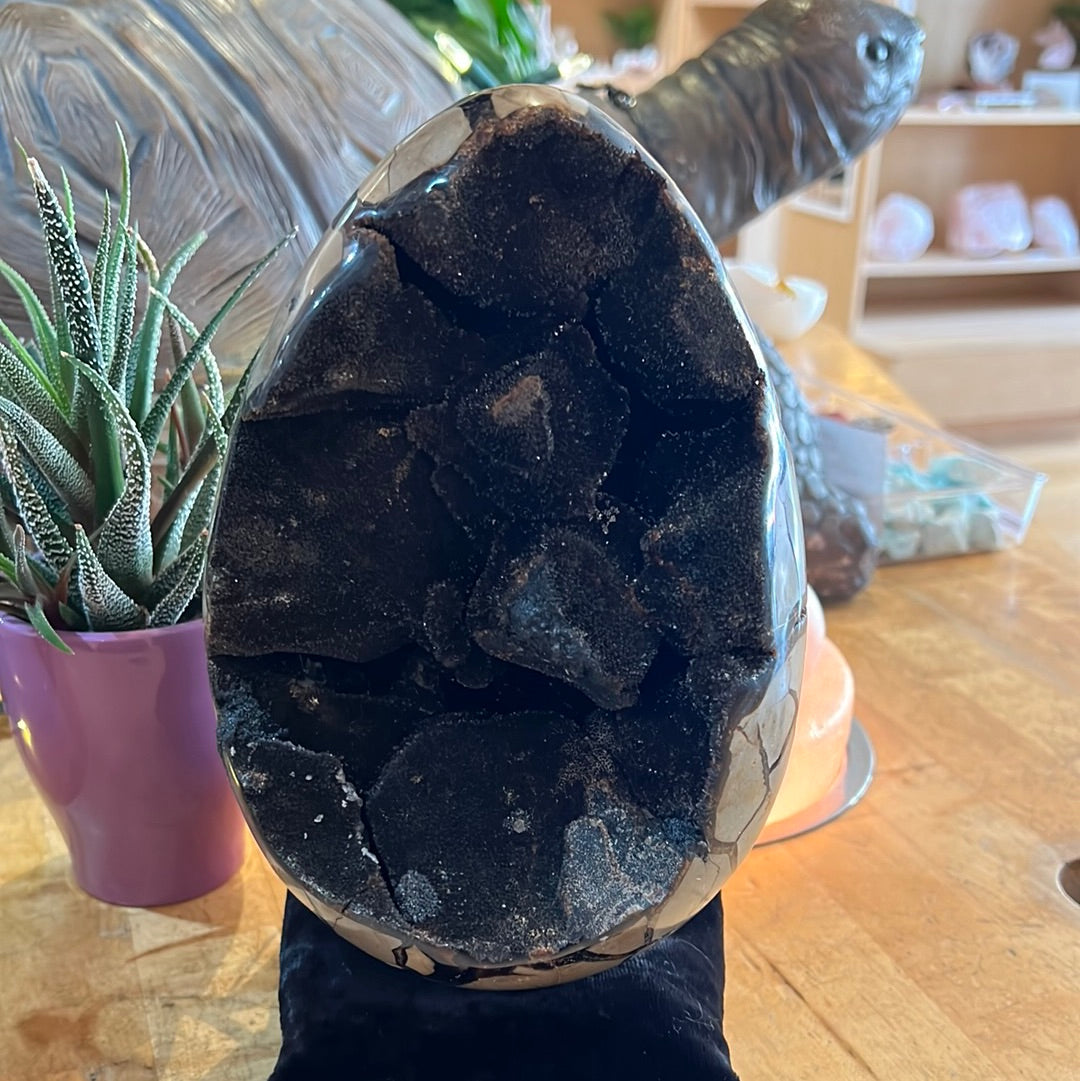 Septarian Egg