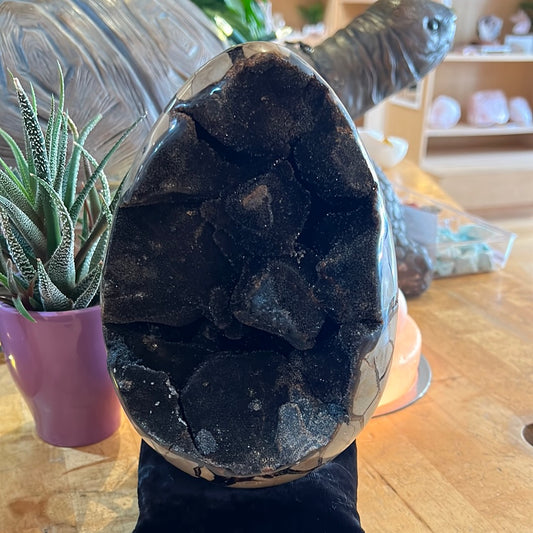 Septarian Egg