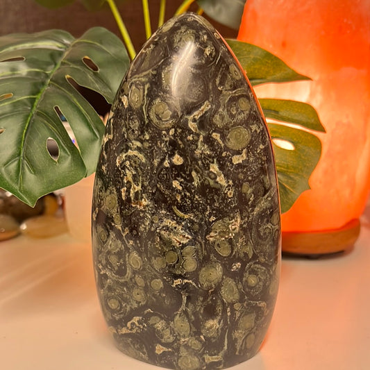 Kambaba Jasper Freeform