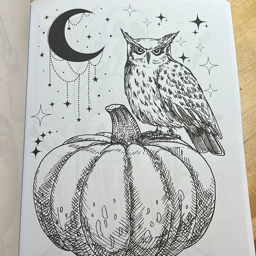 Mystical Mood Coloring Book