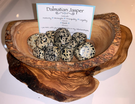 Dalmatian Jasper Tumble
