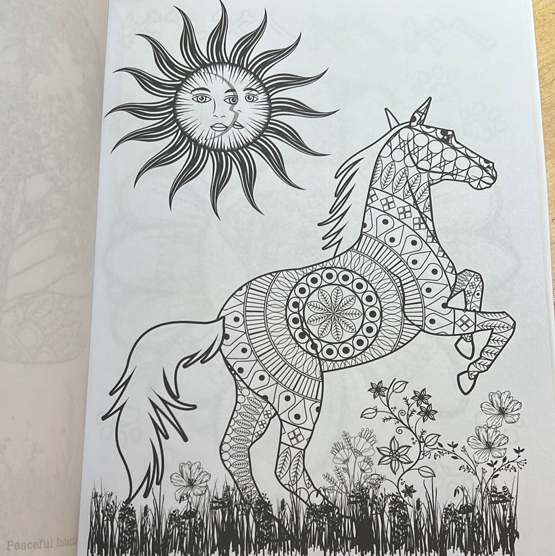 Mystical Mood Coloring Book