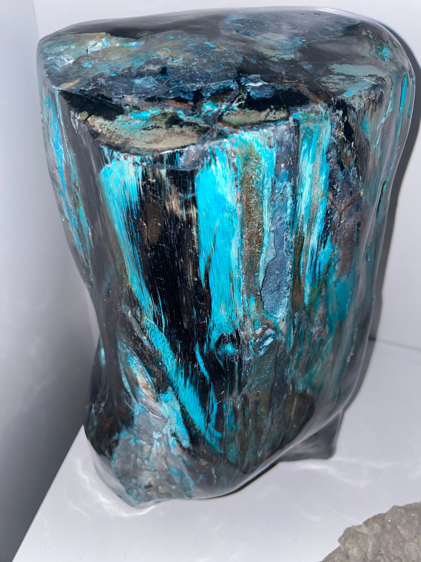 Rare Blue Opalized Petrified Wood with Chrysocolla and Malachite
