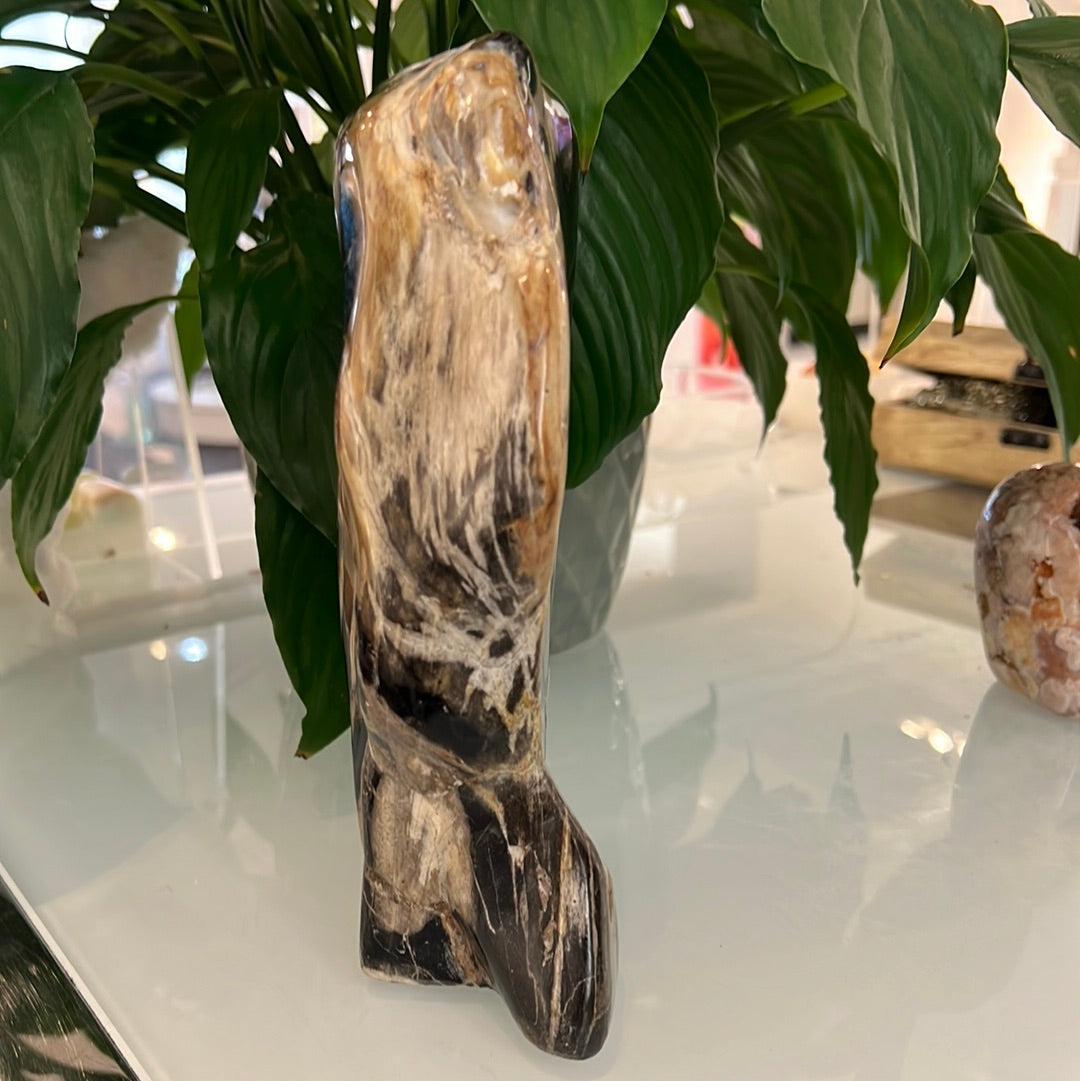 Petrified Wood Freeform