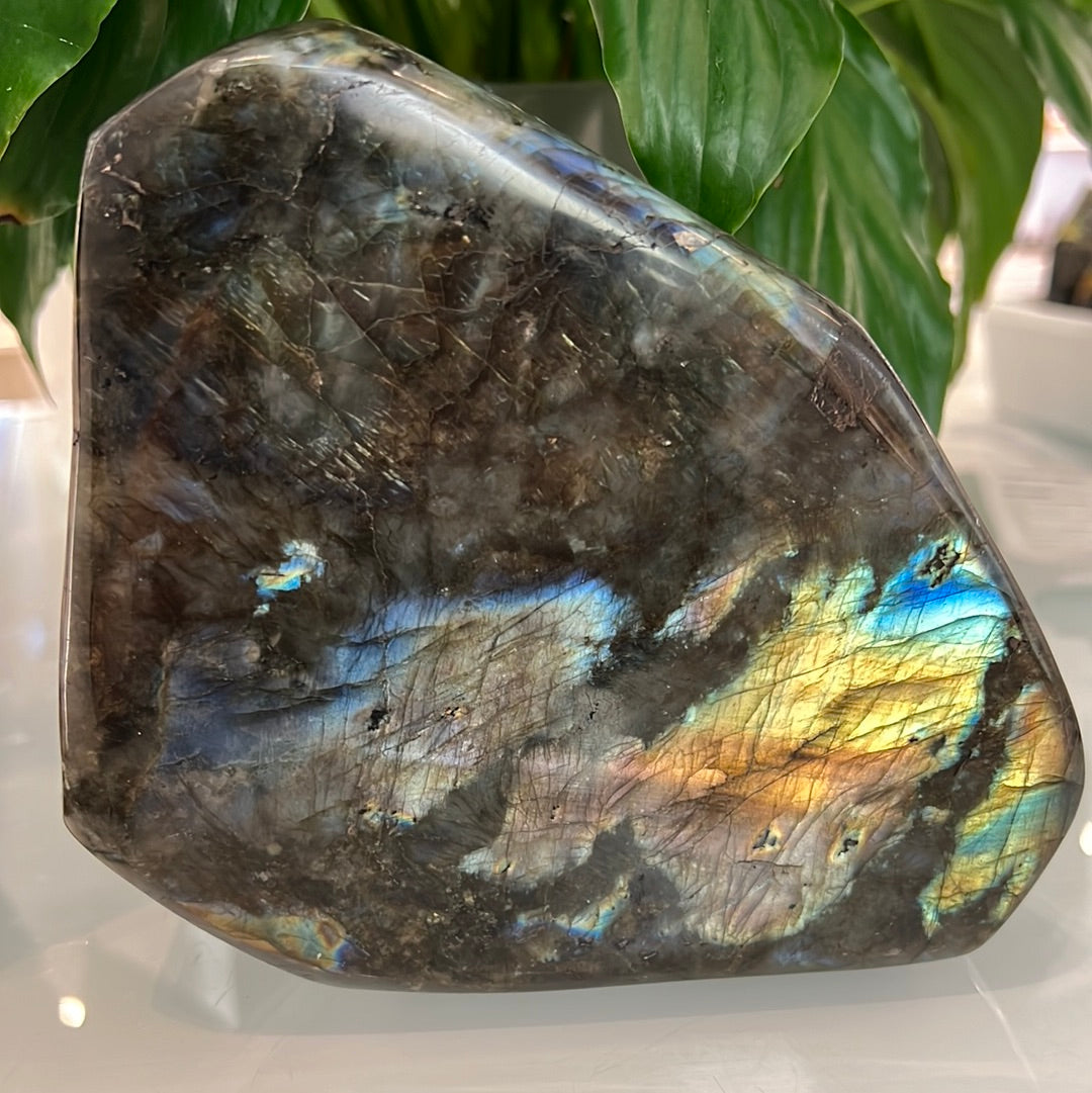 Labradorite Freeform