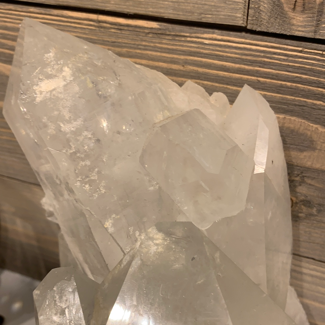Lemurian Collection Cluster