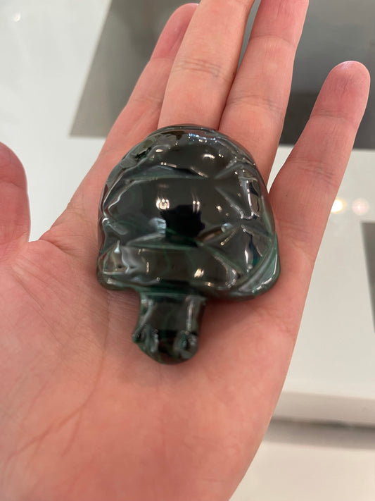 Malachite Turtle