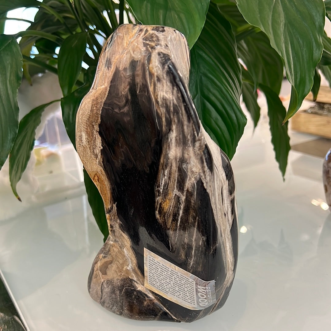 Petrified Wood Freeform